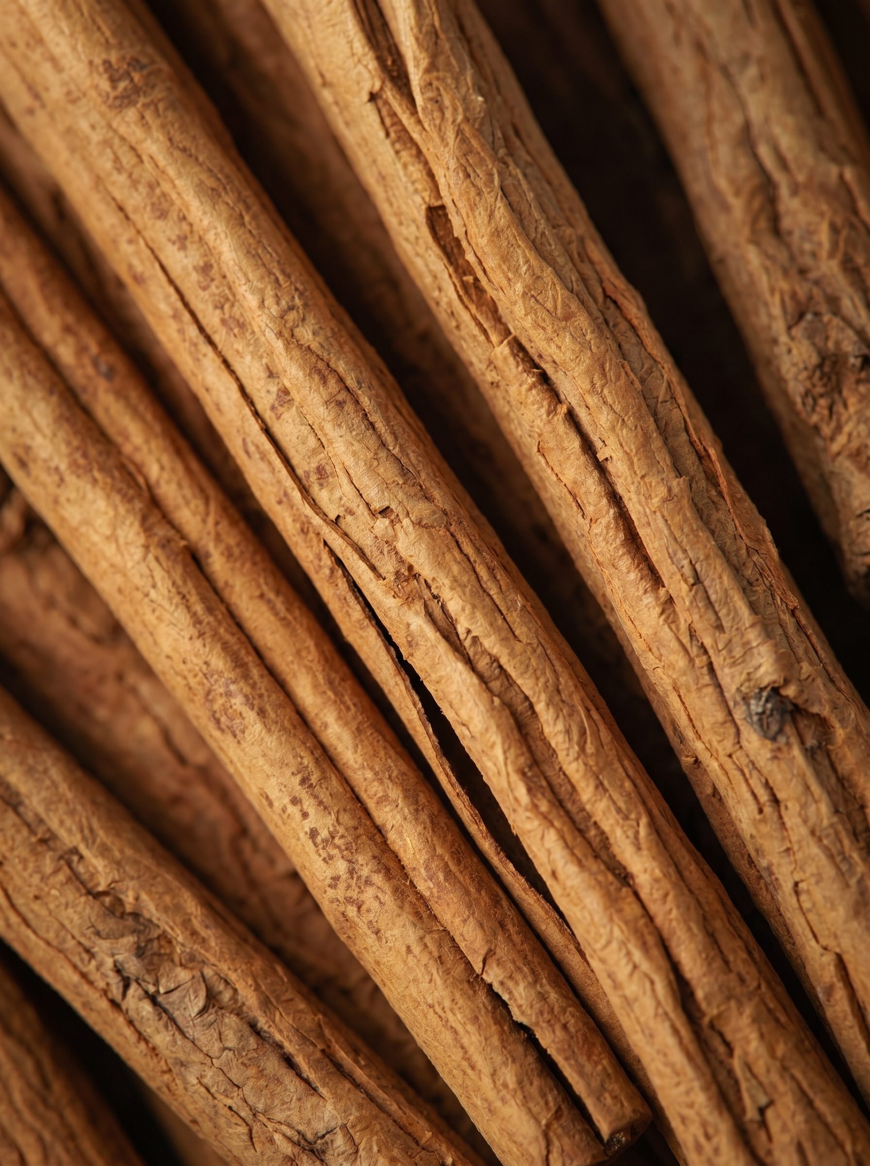 Chicory root inulin