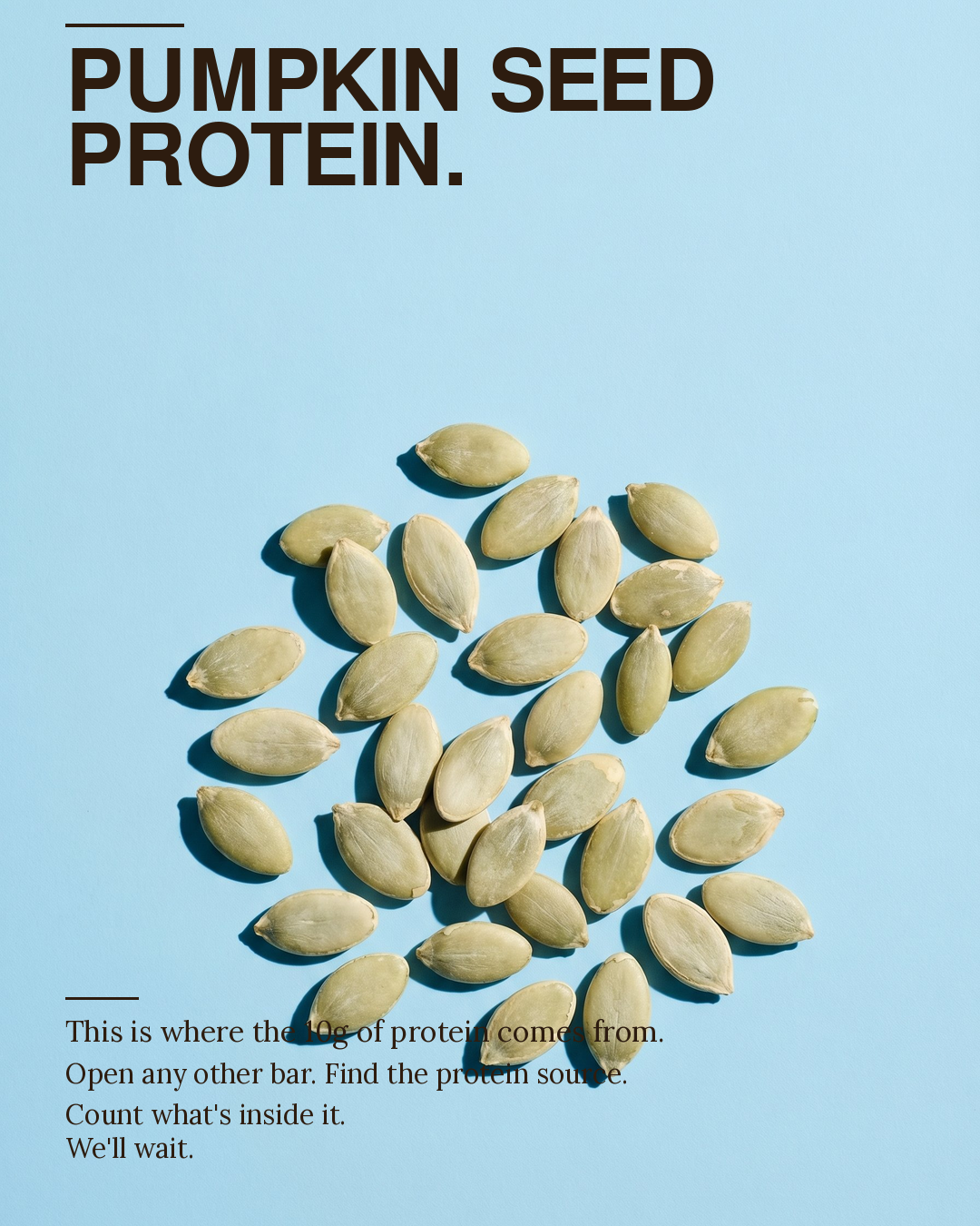 Toasted pumpkin seed protein